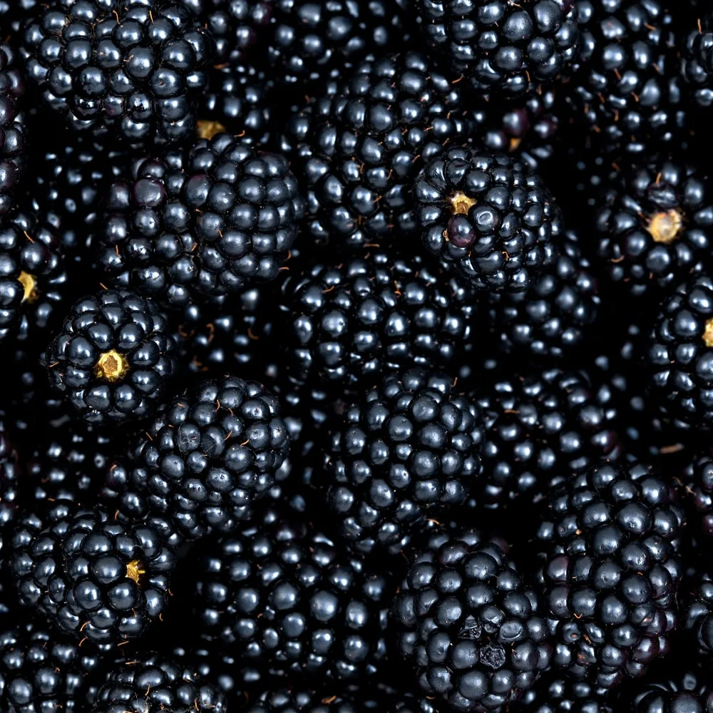 Blackberries Whole, IQF