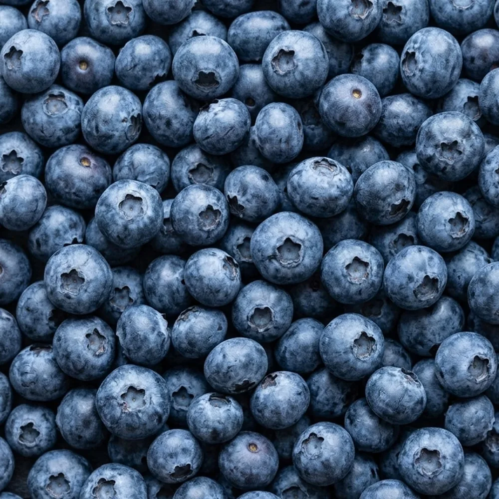 Blueberries, Whole IQF