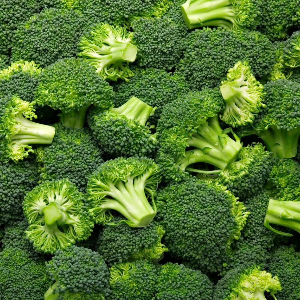 Broccoli Florets 40/60, IQF