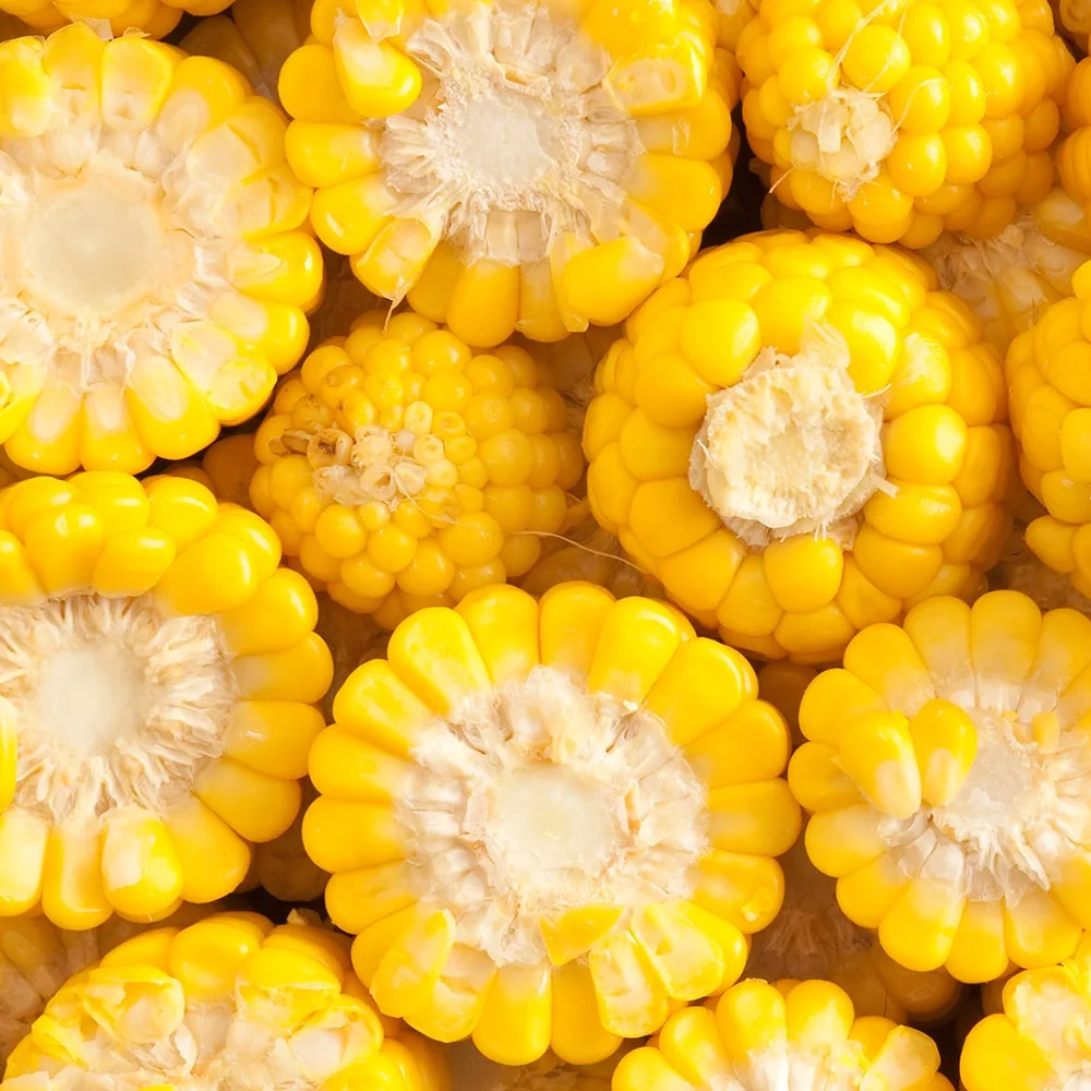 Corn on the cob Halves, IQF