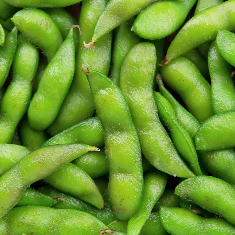 Edamame Shelled, IQF