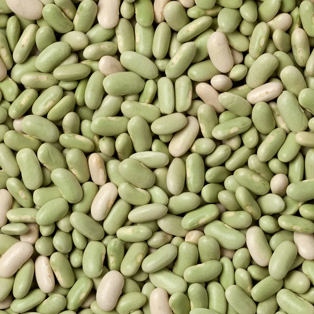 Flageolets (Lima) Beans, IQF