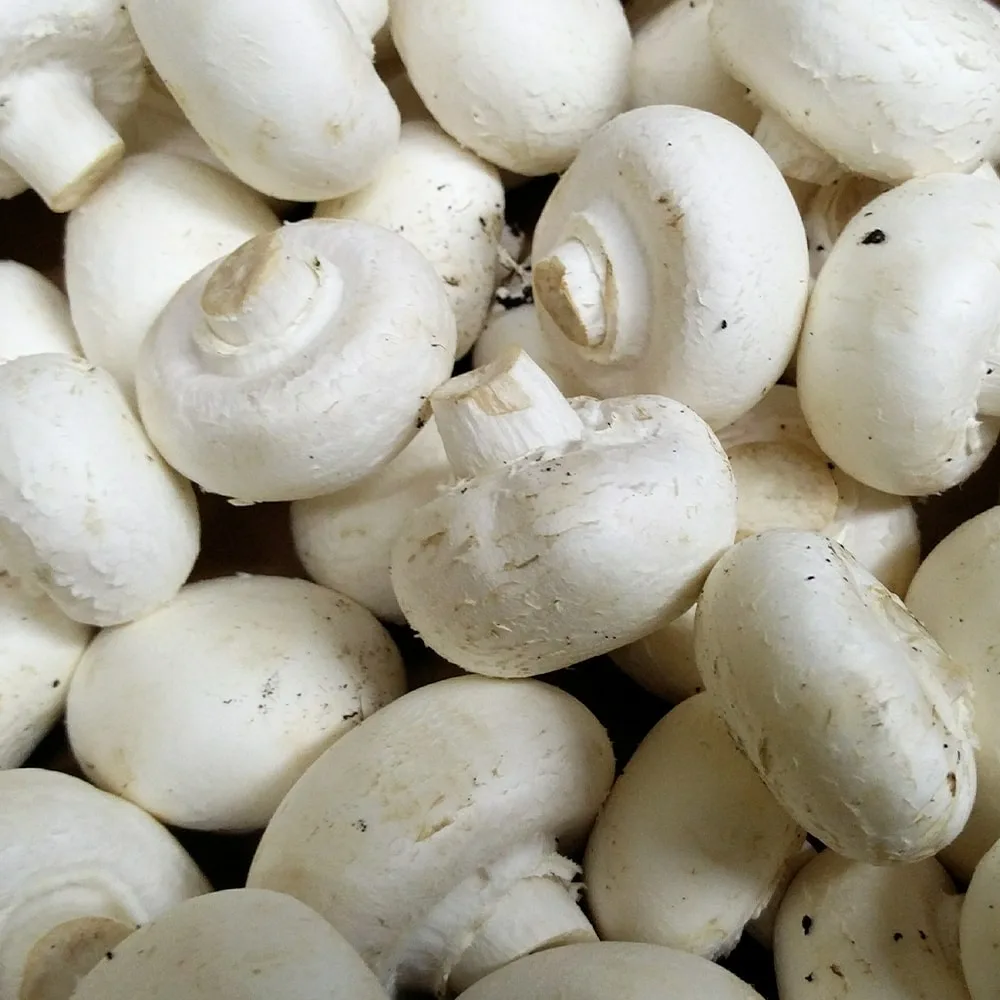 Mushroom Caps, IQF
