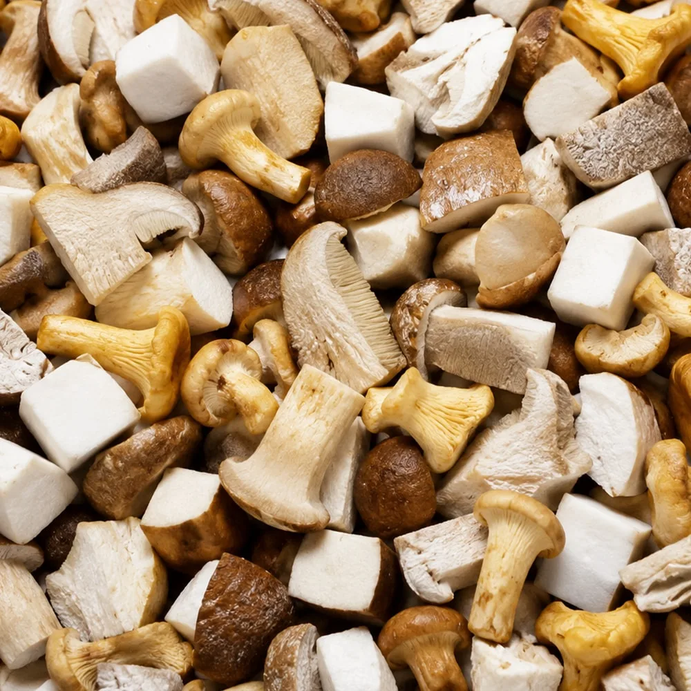 Mushroom Mixed Forest, IQF