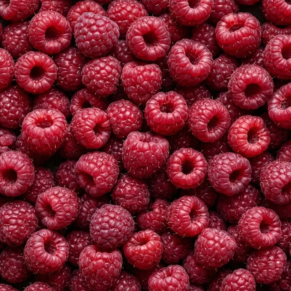 Raspberries Whole, IQF