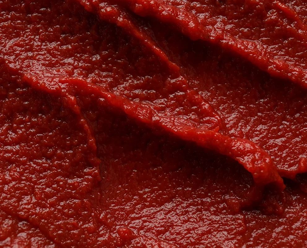 Tomato Paste 24%