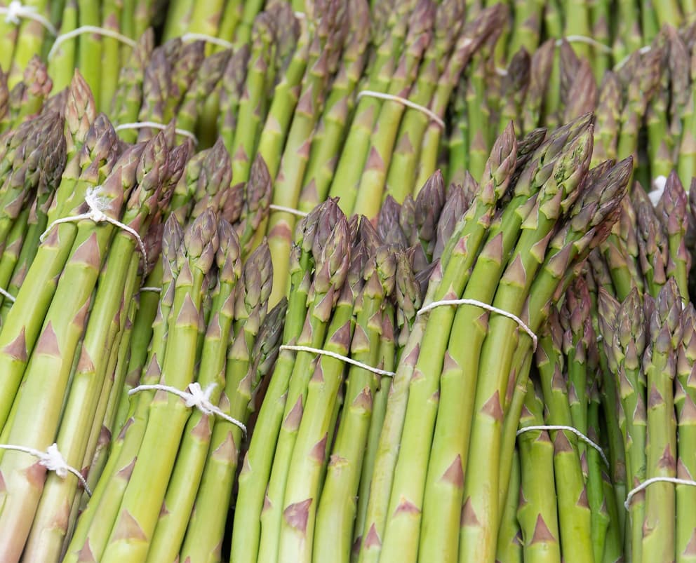 Asparagus Whole, IQF