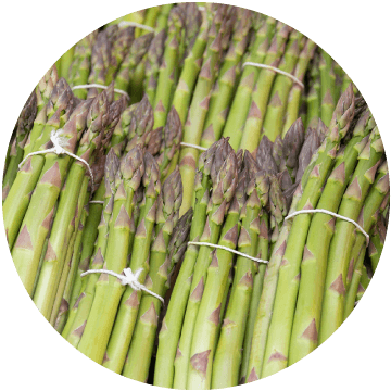 Asparagus Whole, IQF