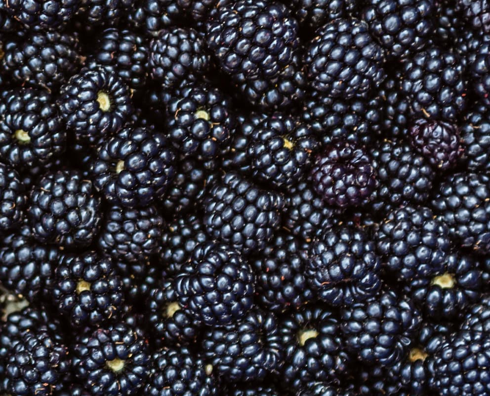 Blackberries Whole, IQF