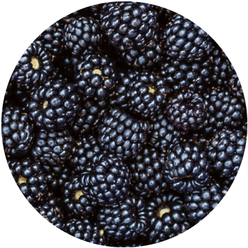 Blackberries Whole