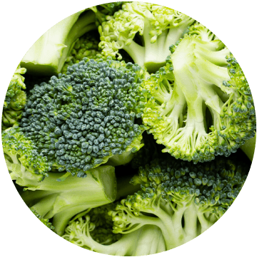 Broccoli Florets, IQF