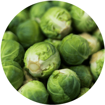 Brussel Sprouts, IQF