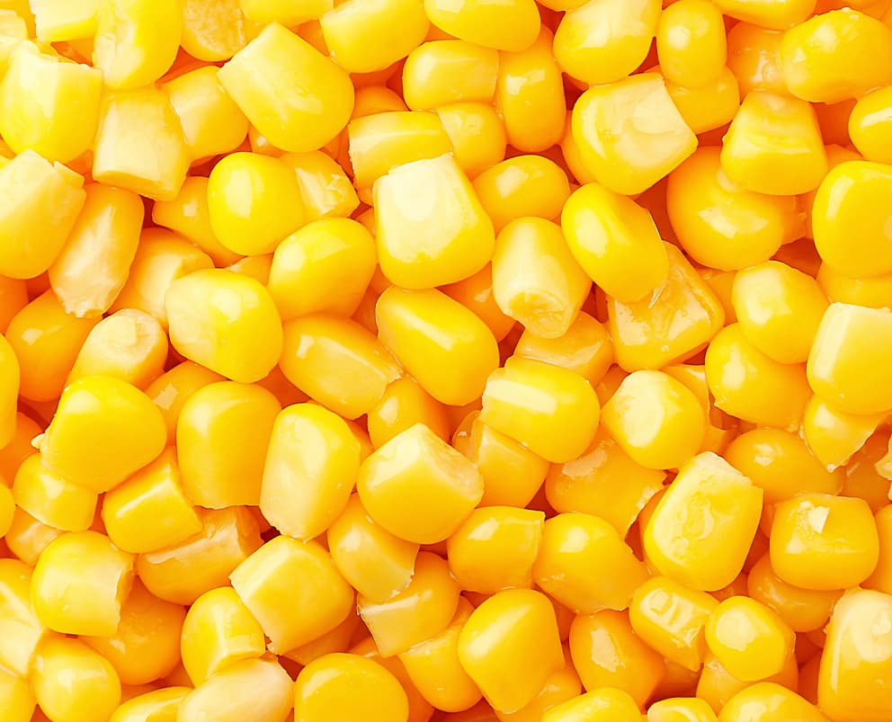 Corn Kernel