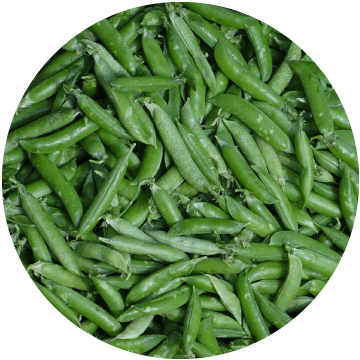 Cut Green Beans, IQF