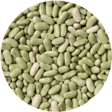 Flageolets (Lima) Beans, IQF