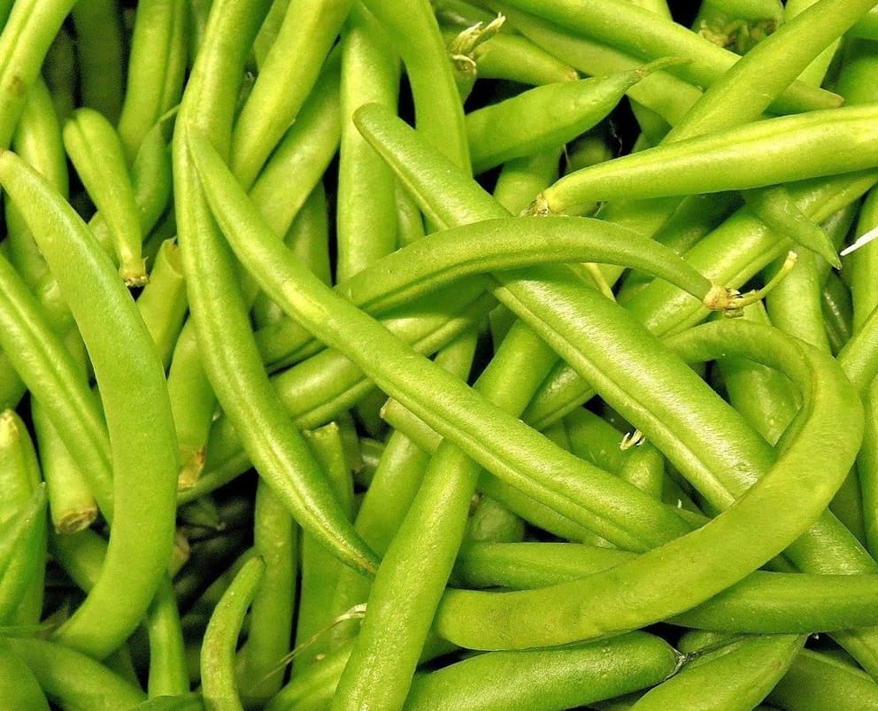 Green Beans Whole, Very Fine, IQF