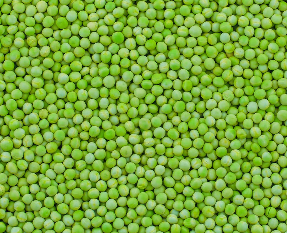 Green Peas Petit, IQF