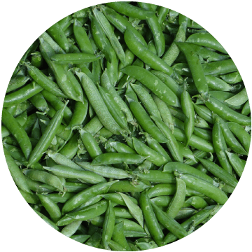 Green Beans Whole, Fine, IQF