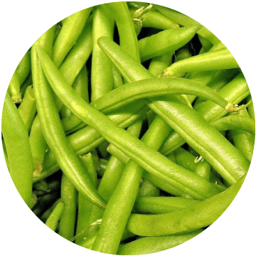 Green Beans Whole Very Fine, IQF