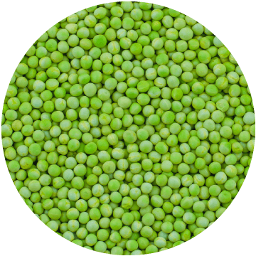 Green Peas Petit, IQF