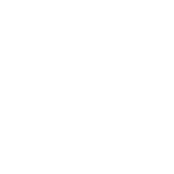 International Supplier