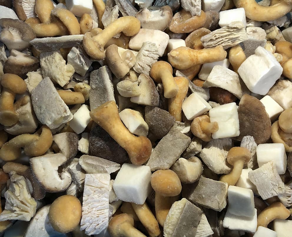 Mushroom Mixed Forest, IQF