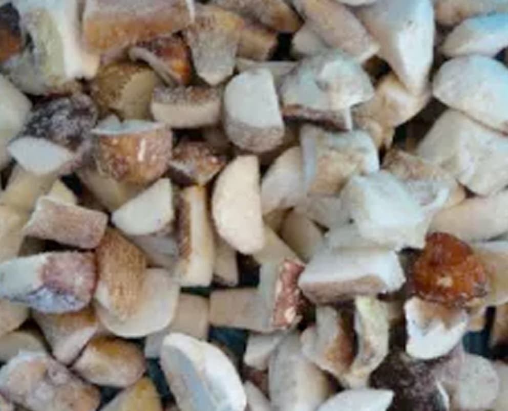 Mushroom Porcini, Cube, IQF