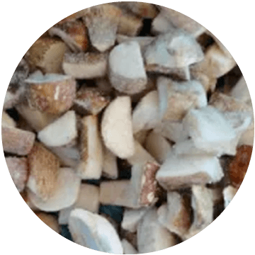 Mushroom Porcini, Cubes IQF