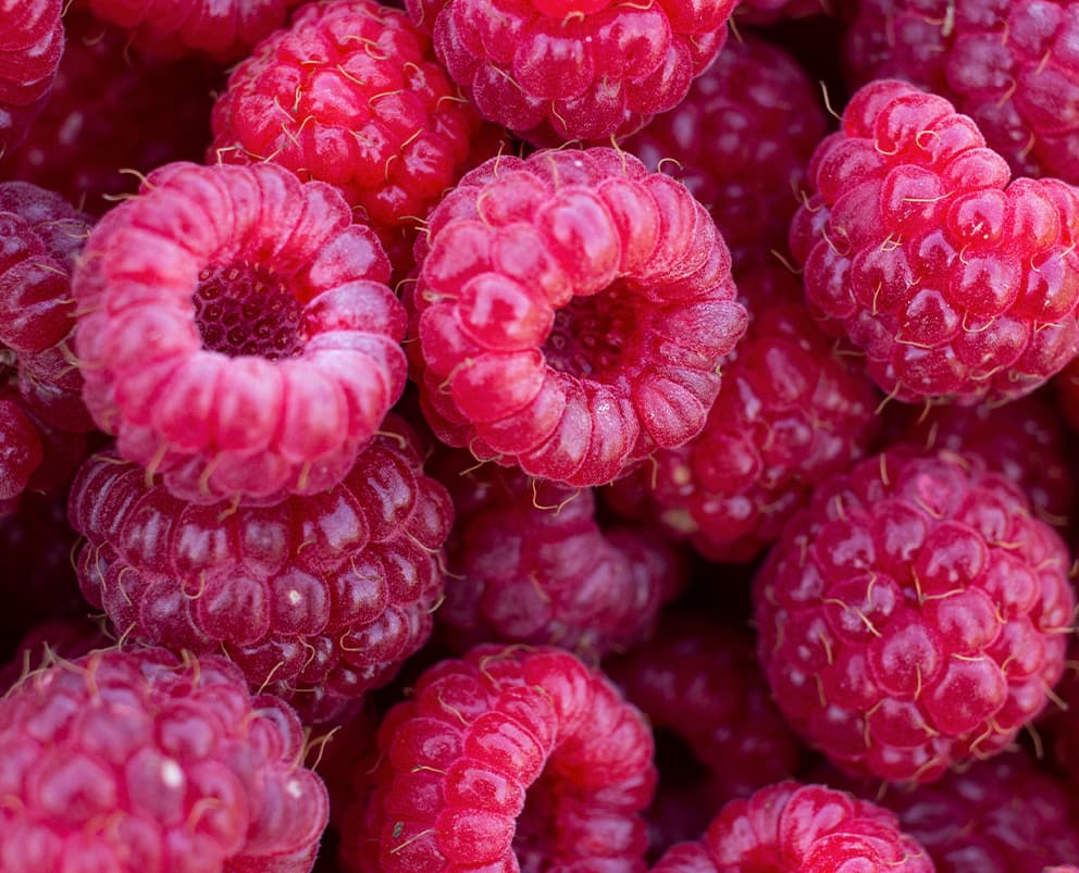 Raspberries Whole, IQF