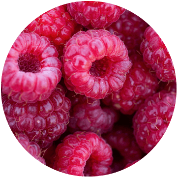 Raspberries Whole, IQF