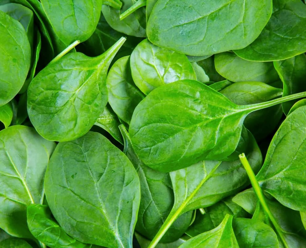 Spinach Leaf Portions, IQF