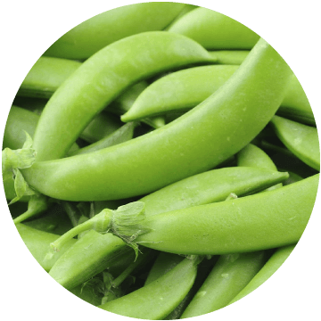 Sugar Snap Peas