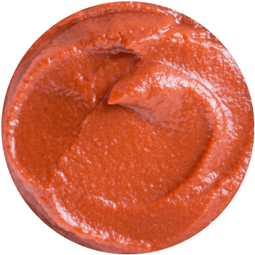 Tomato Puree -1.06
