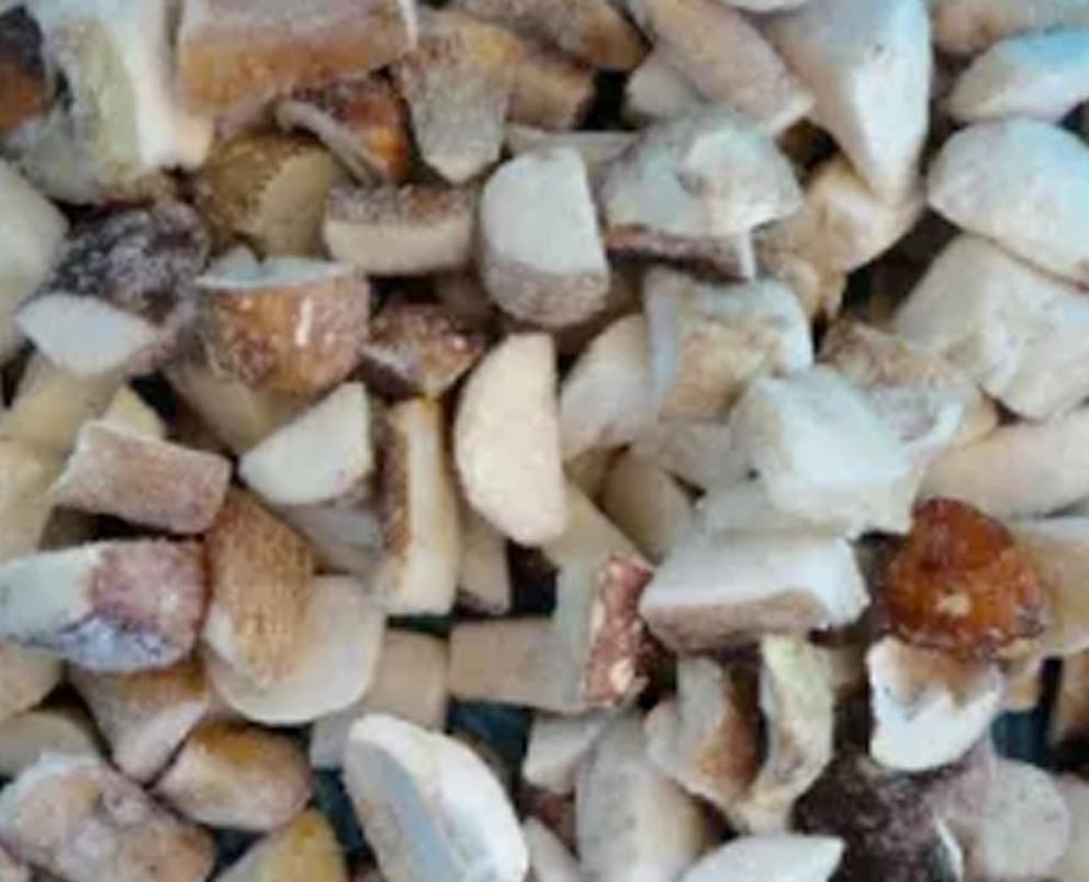 Mushroom Porcini, Cube, IQF